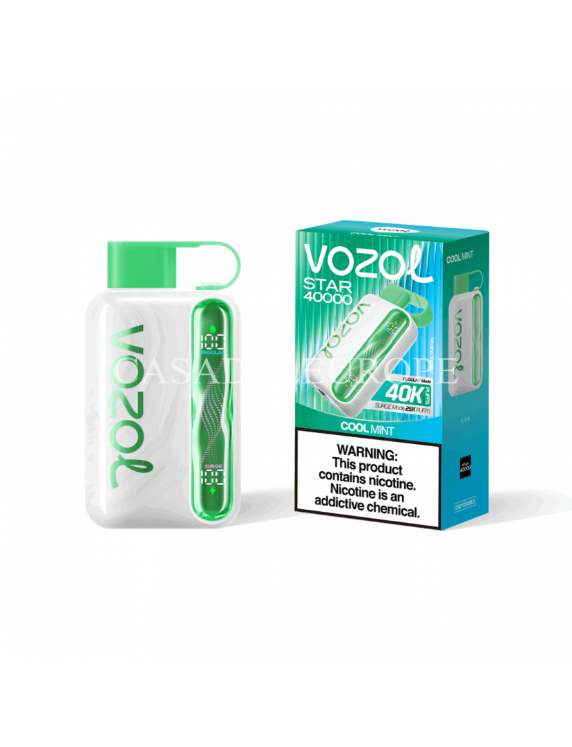 Vozol Star 40000 cool mint Vozol Star 40000 cool mint