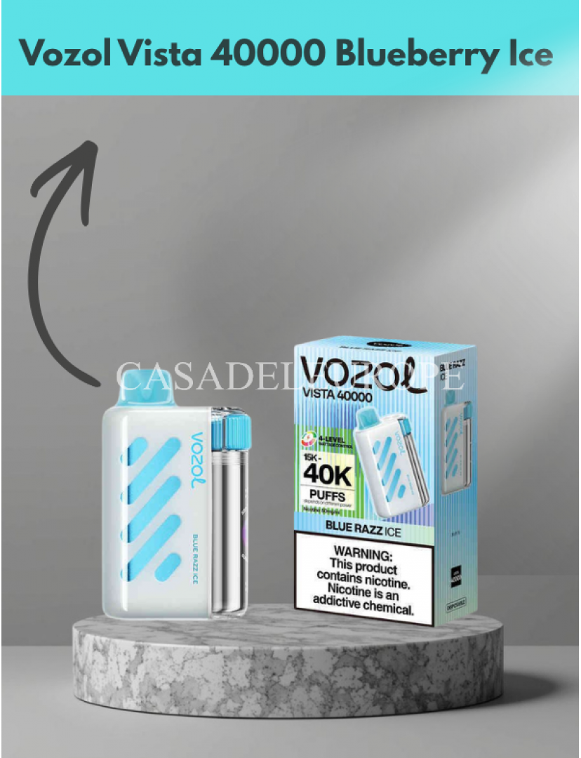 Vozol Vista 40000 Blueberry Ice